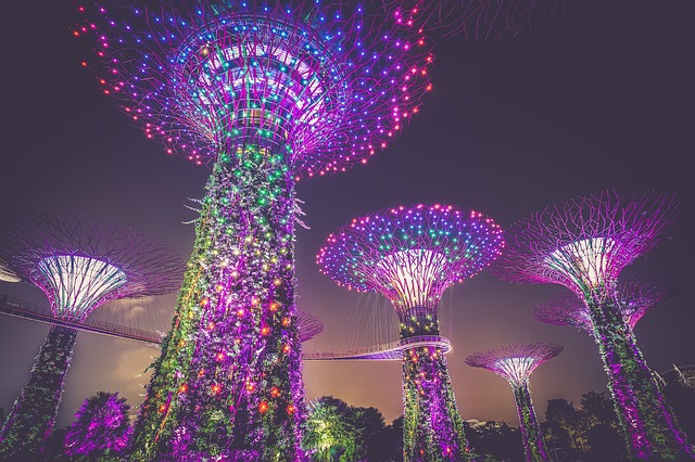 umělé stromy osvětlené LED